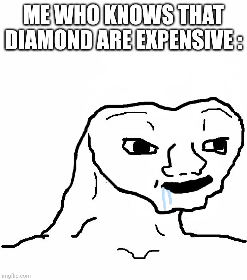 Brainless | ME WHO KNOWS THAT DIAMOND ARE EXPENSIVE : | image tagged in brainless | made w/ Imgflip meme maker