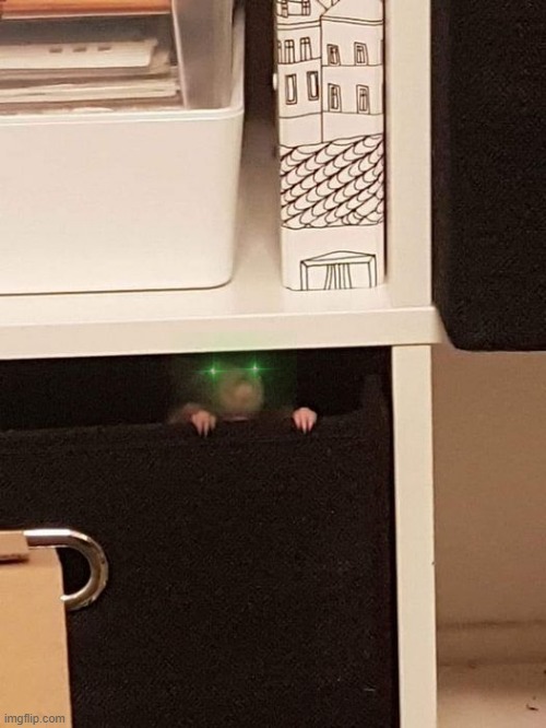 AAAAAHHHHHHHHHHHHHHHHHHHHHHHHH | made w/ Imgflip meme maker