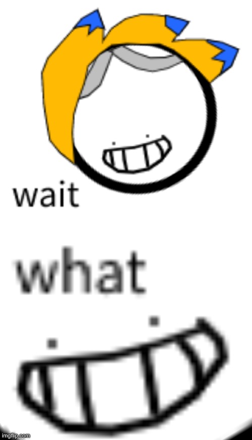 wait what | image tagged in wait what | made w/ Imgflip meme maker
