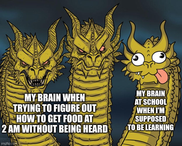 oh yeah it's big brain time | MY BRAIN AT SCHOOL WHEN I'M SUPPOSED TO BE LEARNING; MY BRAIN WHEN TRYING TO FIGURE OUT HOW TO GET FOOD AT 2 AM WITHOUT BEING HEARD | image tagged in three-headed dragon | made w/ Imgflip meme maker