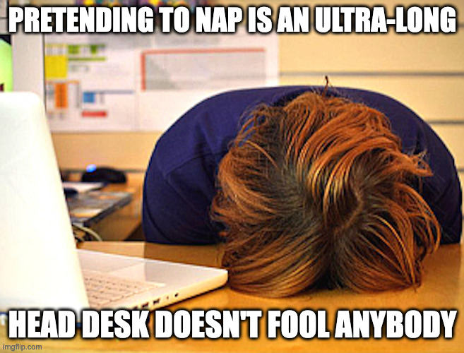 Head Desk 101 | PRETENDING TO NAP IS AN ULTRA-LONG; HEAD DESK DOESN'T FOOL ANYBODY | image tagged in desk,memes | made w/ Imgflip meme maker