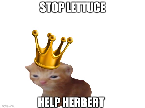 king herbert | STOP LETTUCE; HELP HERBERT | image tagged in memes | made w/ Imgflip meme maker