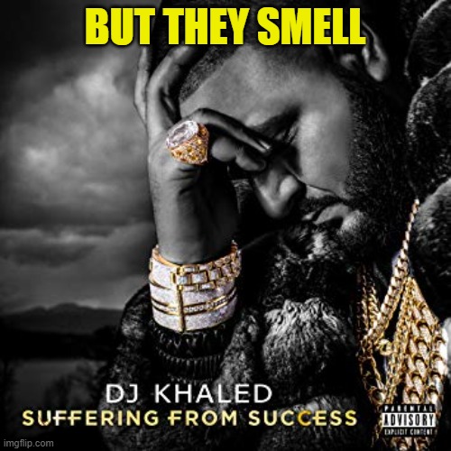 dj khaled suffering from success meme | BUT THEY SMELL | image tagged in dj khaled suffering from success meme | made w/ Imgflip meme maker