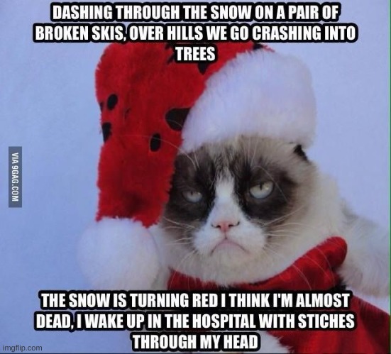 Christmas with grumpy cat | image tagged in grumpy cats normal christmas | made w/ Imgflip meme maker