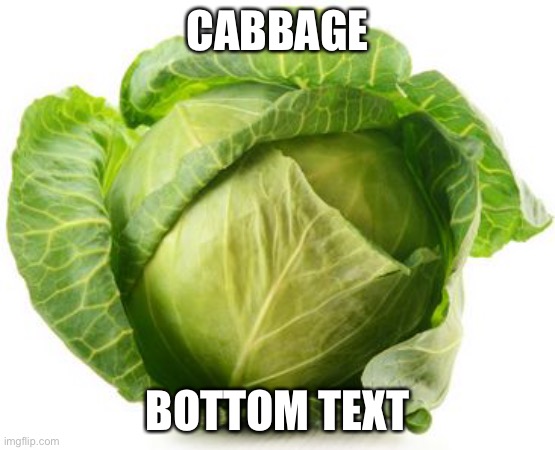 Cabbage | CABBAGE; BOTTOM TEXT | image tagged in cabbage | made w/ Imgflip meme maker