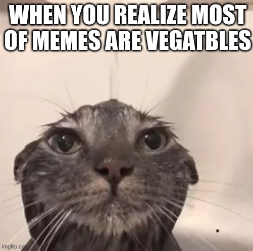 wut | WHEN YOU REALIZE MOST OF MEMES ARE VEGATBLES | made w/ Imgflip meme maker