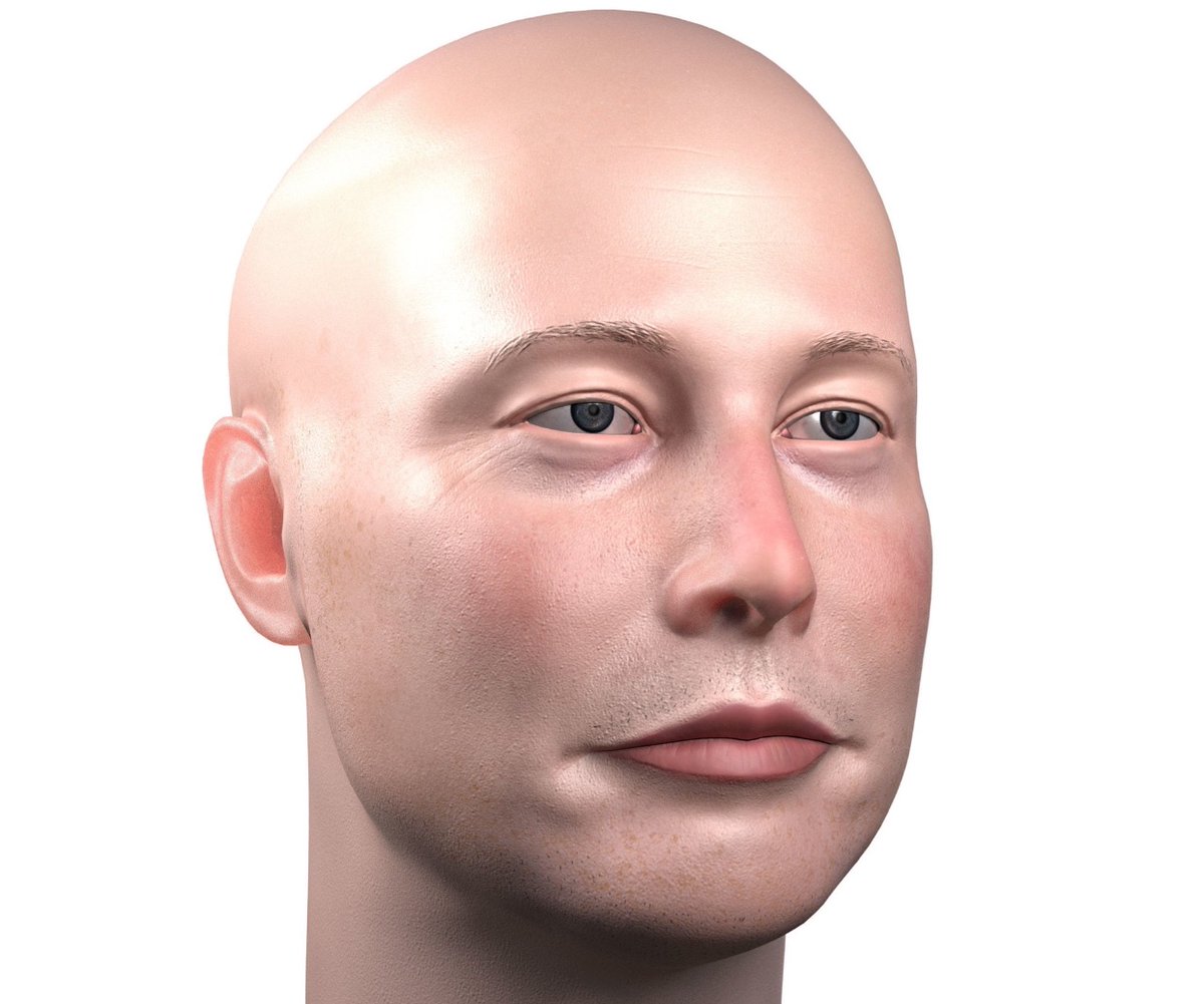 High Quality Elon musk bald Blank Meme Template