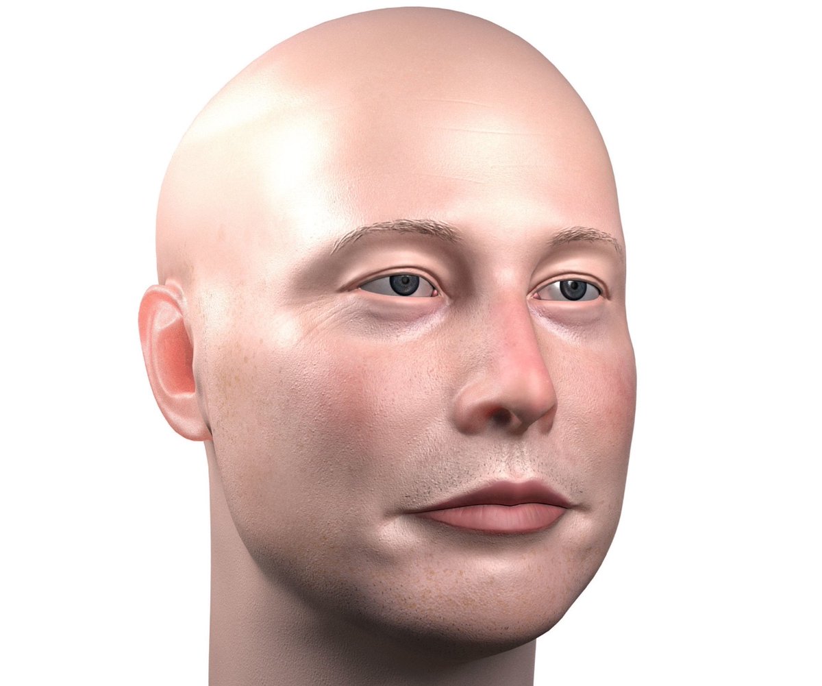 Elon musk bald Blank Meme Template