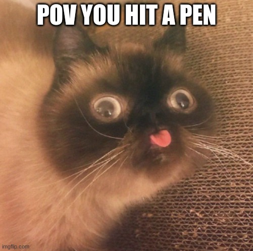 goofy cat | POV YOU HIT A PEN | made w/ Imgflip meme maker