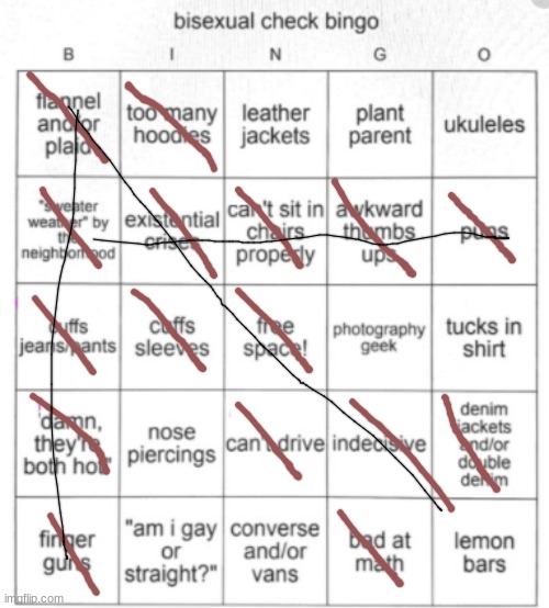 why not? | image tagged in bisexual bingo | made w/ Imgflip meme maker