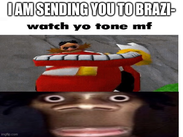You're gone | I AM SENDING YOU TO BRAZI- | image tagged in you're going to brazil,you better watch your mouth | made w/ Imgflip meme maker
