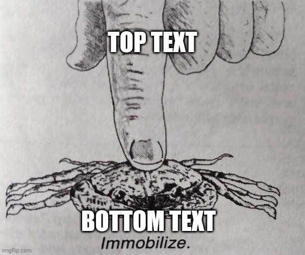 Immobilise. | TOP TEXT; BOTTOM TEXT | image tagged in immobilise | made w/ Imgflip meme maker