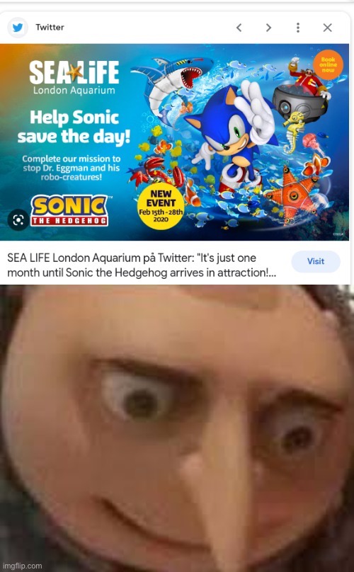 Oh no | image tagged in gru,sonic the hedgehog,water,aquarium,drowning | made w/ Imgflip meme maker