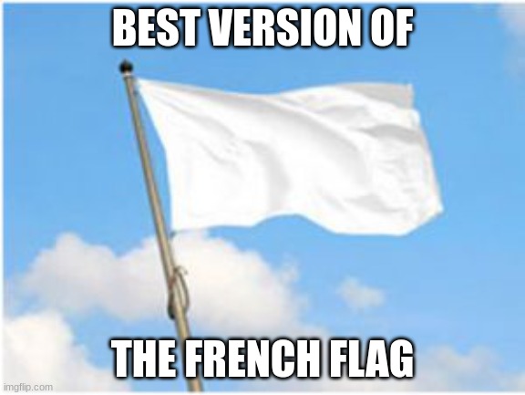 (i'm part French) | BEST VERSION OF; THE FRENCH FLAG | image tagged in white flag | made w/ Imgflip meme maker