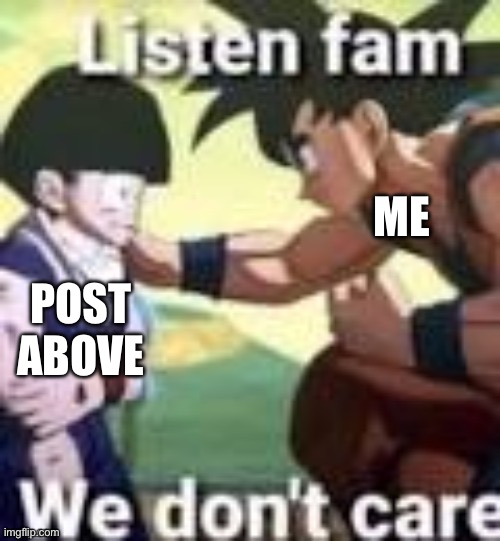 Listen fam we dont care | ME; POST ABOVE | image tagged in listen fam we dont care | made w/ Imgflip meme maker