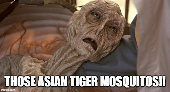 Mosquito Bite | THOSE ASIAN TIGER MOSQUITOS!! | image tagged in cocoon alien,mosquito attack,death | made w/ Imgflip meme maker