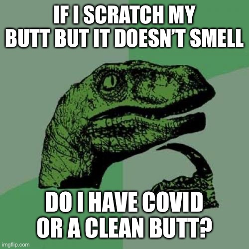 Smelly hand | IF I SCRATCH MY BUTT BUT IT DOESN’T SMELL; DO I HAVE COVID OR A CLEAN BUTT? | image tagged in memes,philosoraptor | made w/ Imgflip meme maker