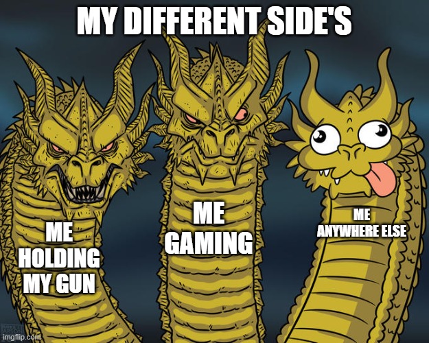 Three-headed Dragon | MY DIFFERENT SIDE'S; ME GAMING; ME ANYWHERE ELSE; ME HOLDING MY GUN | image tagged in three-headed dragon | made w/ Imgflip meme maker