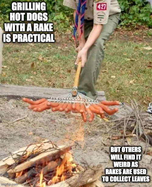 Hot Dogs on a Rake | GRILLING HOT DOGS WITH A RAKE IS PRACTICAL; BUT OTHERS WILL FIND IT WEIRD AS RAKES ARE USED TO COLLECT LEAVES | image tagged in hotdog,memes,food | made w/ Imgflip meme maker