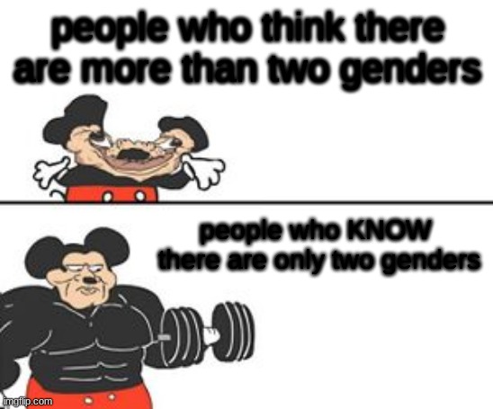 Buff Mokey | people who think there are more than two genders; people who KNOW
 there are only two genders | image tagged in buff mokey | made w/ Imgflip meme maker