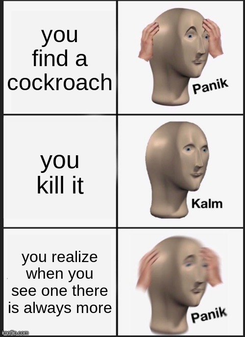 Panic | you find a cockroach; you kill it; you realize when you see one there is always more | image tagged in memes,panik kalm panik | made w/ Imgflip meme maker