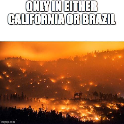 Wild Fire | ONLY IN EITHER CALIFORNIA OR BRAZIL | image tagged in wild fire | made w/ Imgflip meme maker