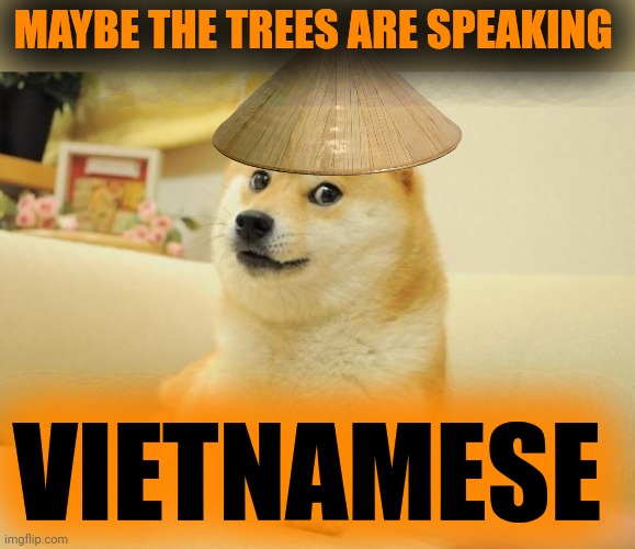 Doge 2 Meme | MAYBE THE TREES ARE SPEAKING VIETNAMESE | image tagged in memes,doge 2 | made w/ Imgflip meme maker