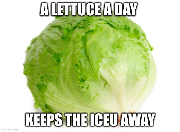 Iceu's nightmare | A LETTUCE A DAY; KEEPS THE ICEU AWAY | image tagged in lettuce | made w/ Imgflip meme maker
