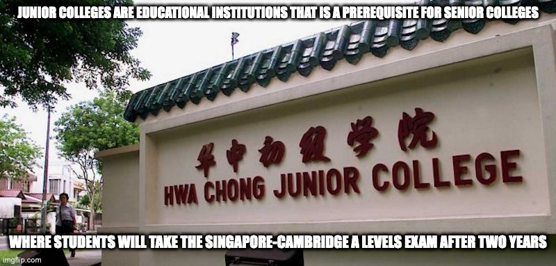Singapore Junior College | JUNIOR COLLEGES ARE EDUCATIONAL INSTITUTIONS THAT IS A PREREQUISITE FOR SENIOR COLLEGES; WHERE STUDENTS WILL TAKE THE SINGAPORE-CAMBRIDGE A LEVELS EXAM AFTER TWO YEARS | image tagged in college,memes,school | made w/ Imgflip meme maker