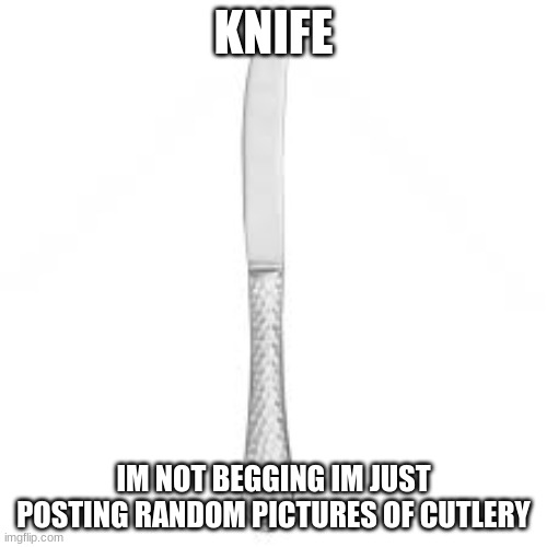 knife | KNIFE; IM NOT BEGGING IM JUST POSTING RANDOM PICTURES OF CUTLERY | image tagged in knife | made w/ Imgflip meme maker