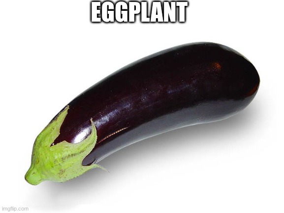 Eggplant | EGGPLANT | image tagged in eggplant | made w/ Imgflip meme maker