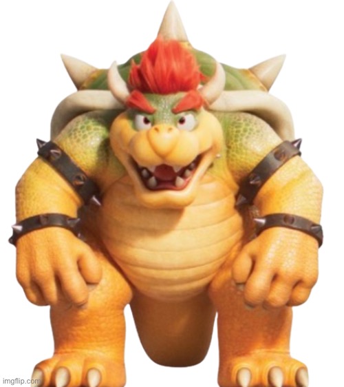 Bowser Model (TSMBM) | image tagged in bowser model tsmbm | made w/ Imgflip meme maker