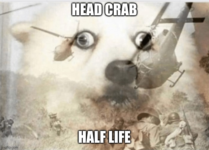 HEAD CRAB HALF LIFE | image tagged in ptsd dog | made w/ Imgflip meme maker