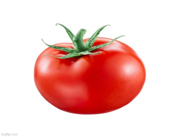 Tomato | image tagged in sad tomato | made w/ Imgflip meme maker
