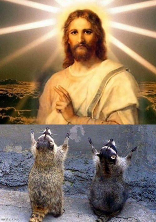 GOD AND RACCOONS | image tagged in raccoon,god | made w/ Imgflip meme maker
