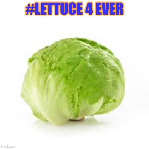 # Lettuce 4 ever | #LETTUCE 4 EVER | image tagged in fun,breaking news,gaming | made w/ Imgflip meme maker