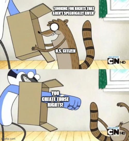 9th Amendment | *LOOKING FOR RIGHTS THAT AREN'T SPECIFICALLY GIVEN*; U.S. CITIZEN; YOU CREATE THOSE RIGHTS! | image tagged in mordecai punches rigby through a box | made w/ Imgflip meme maker