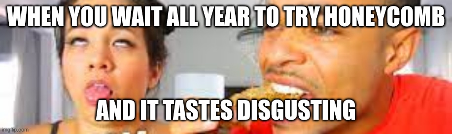 more pain | WHEN YOU WAIT ALL YEAR TO TRY HONEYCOMB; AND IT TASTES DISGUSTING | image tagged in funny memes | made w/ Imgflip meme maker