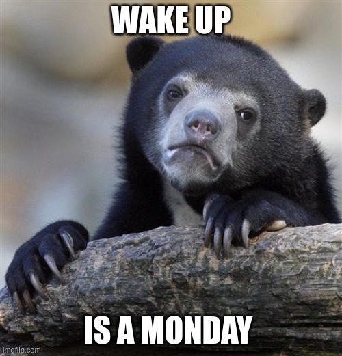 every time | WAKE UP; IS A MONDAY | image tagged in memes,confession bear | made w/ Imgflip meme maker