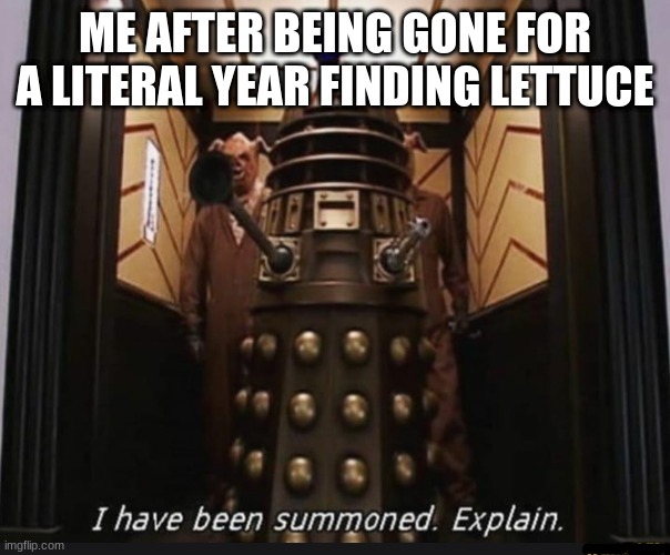 WHAT THE F*CK HAPPENED WHEN I WAS GONE!? | ME AFTER BEING GONE FOR A LITERAL YEAR FINDING LETTUCE | image tagged in i have been summoned | made w/ Imgflip meme maker