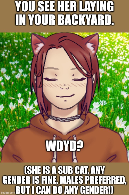 Send memechat link,any gender is fine, but males preferred. | YOU SEE HER LAYING IN YOUR BACKYARD. WDYD? (SHE IS A SUB CAT, ANY GENDER IS FINE, MALES PREFERRED, BUT I CAN DO ANY GENDER!) | made w/ Imgflip meme maker