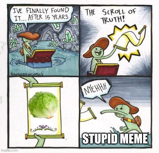 top meme | STUPID MEME | image tagged in memes,the scroll of truth | made w/ Imgflip meme maker
