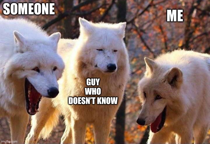 Laughing wolf | SOMEONE GUY WHO DOESN’T KNOW ME | image tagged in laughing wolf | made w/ Imgflip meme maker