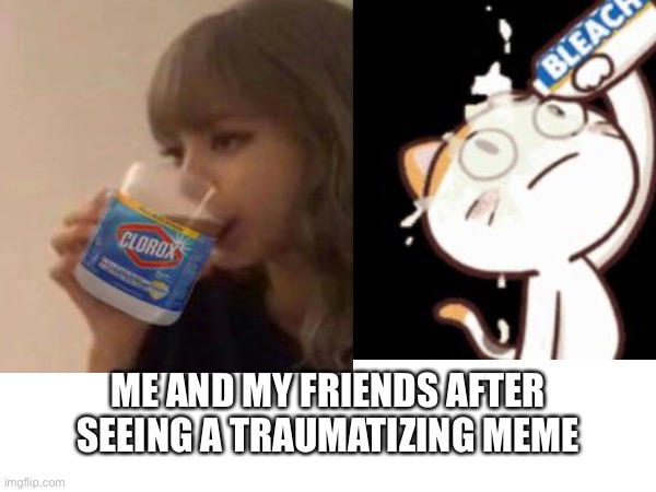 Relatable….. | ME AND MY FRIENDS AFTER SEEING A TRAUMATIZING MEME | image tagged in north korea,kim jong un sad | made w/ Imgflip meme maker