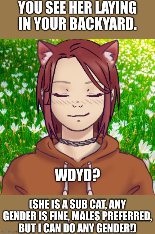 Send memechat link, any gender is fine, but males preferred. | YOU SEE HER LAYING IN YOUR BACKYARD. WDYD? (SHE IS A SUB CAT, ANY GENDER IS FINE, MALES PREFERRED, BUT I CAN DO ANY GENDER!) | made w/ Imgflip meme maker