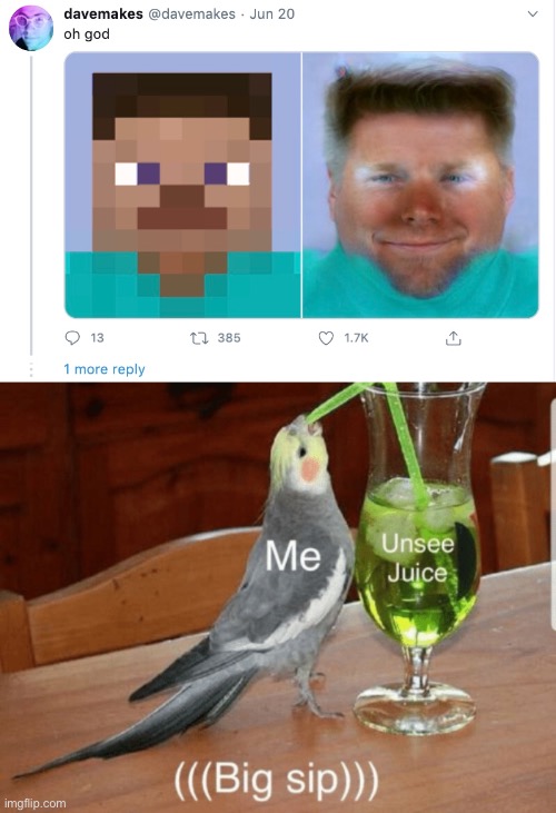 POV: Minecraft real life | image tagged in unsee juice,funny,lol,funny memes,ew | made w/ Imgflip meme maker