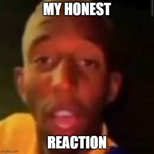 my honest reaction | MY HONEST; REACTION | image tagged in honest,reaction | made w/ Imgflip meme maker