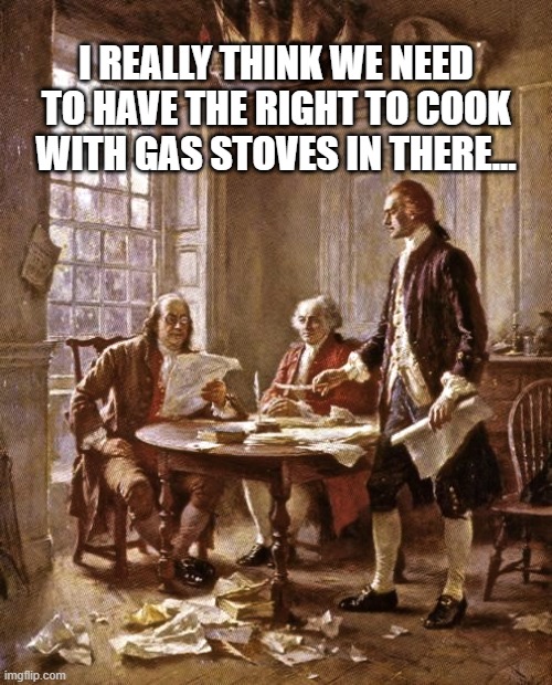 Carl, for the last time, no. | I REALLY THINK WE NEED TO HAVE THE RIGHT TO COOK WITH GAS STOVES IN THERE... | image tagged in founding fathers,gas stoves | made w/ Imgflip meme maker