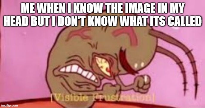 why | ME WHEN I KNOW THE IMAGE IN MY HEAD BUT I DON'T KNOW WHAT ITS CALLED | image tagged in visible frustration | made w/ Imgflip meme maker