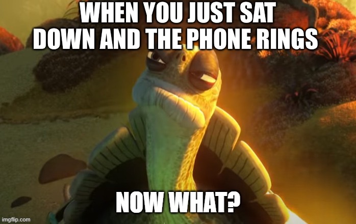 now what | WHEN YOU JUST SAT DOWN AND THE PHONE RINGS | image tagged in now what,master oogway,kung fu panda,dreamworks,phone call | made w/ Imgflip meme maker